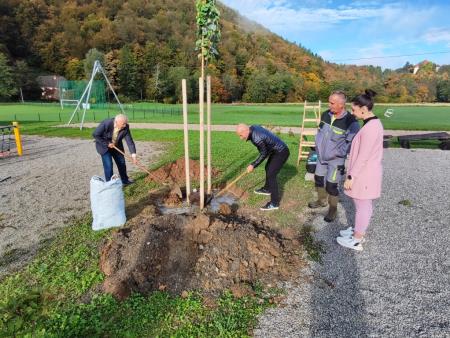 Rožnati oktober - sajenje drevesa, foto Obcina Mirna (9)